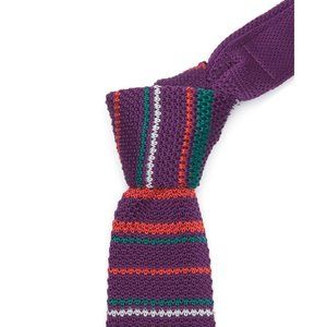DIBI SKINNY SUIT TIE STRAIGHT EDGE SKY KNIT STRIPED PURPLE GREEN NECKWEAR
